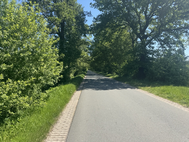 Hof van Saksen hardlopen