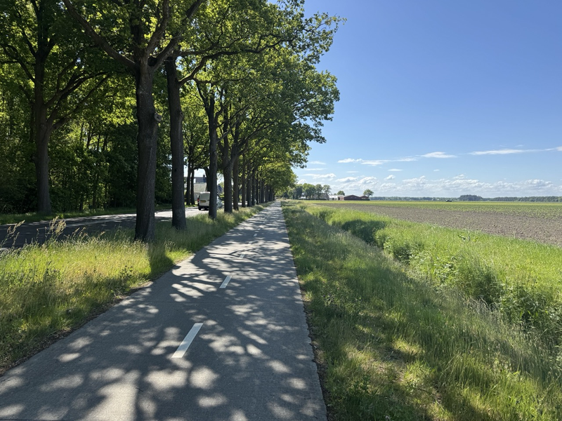 Hof van Saksen hardlopen